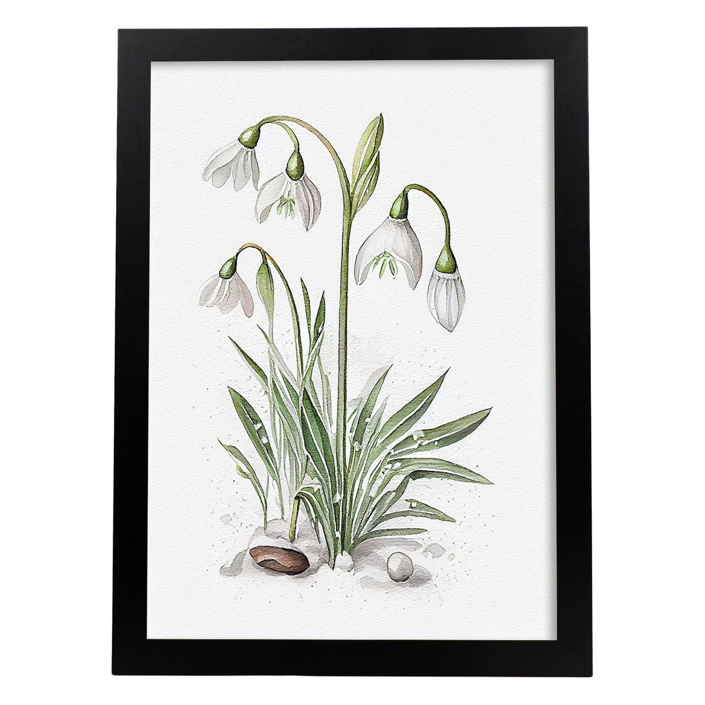 Lámina Nacnic Acuarela Minimalista de Campanilla de Invierno