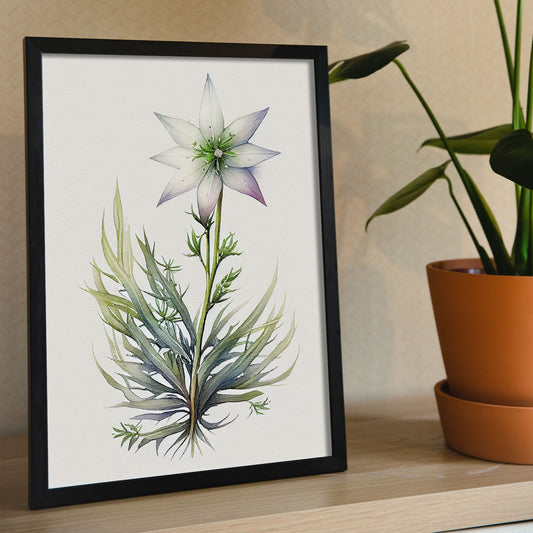 Nacnic watercolor minmal Star of Bethlehem. Aesthetic Wall Art Prints for Bedroom or Living Room Design.-Artwork-Nacnic-A4-Sin Marco-Nacnic Estudio SL