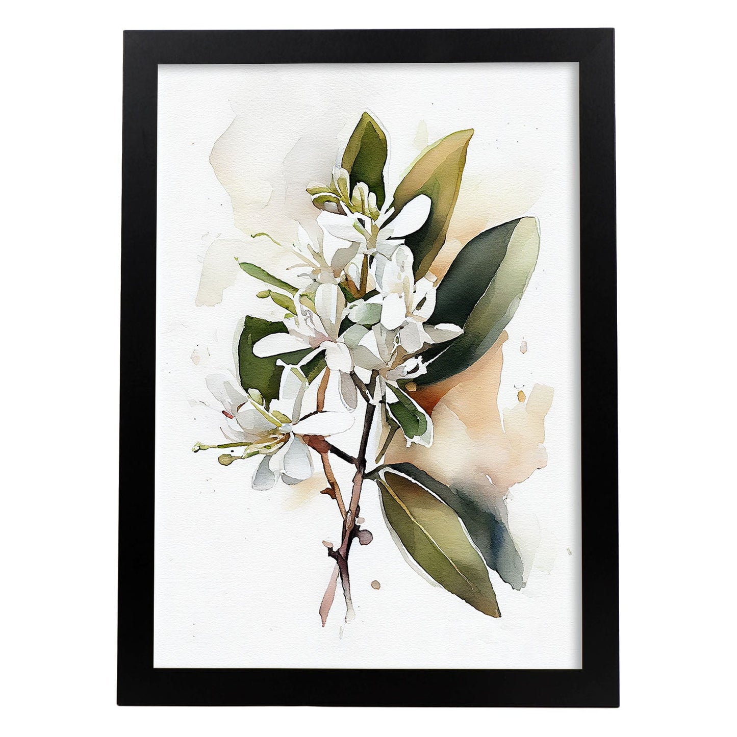 Láminas Nacnic de Stephanotis en acuarela minimalista