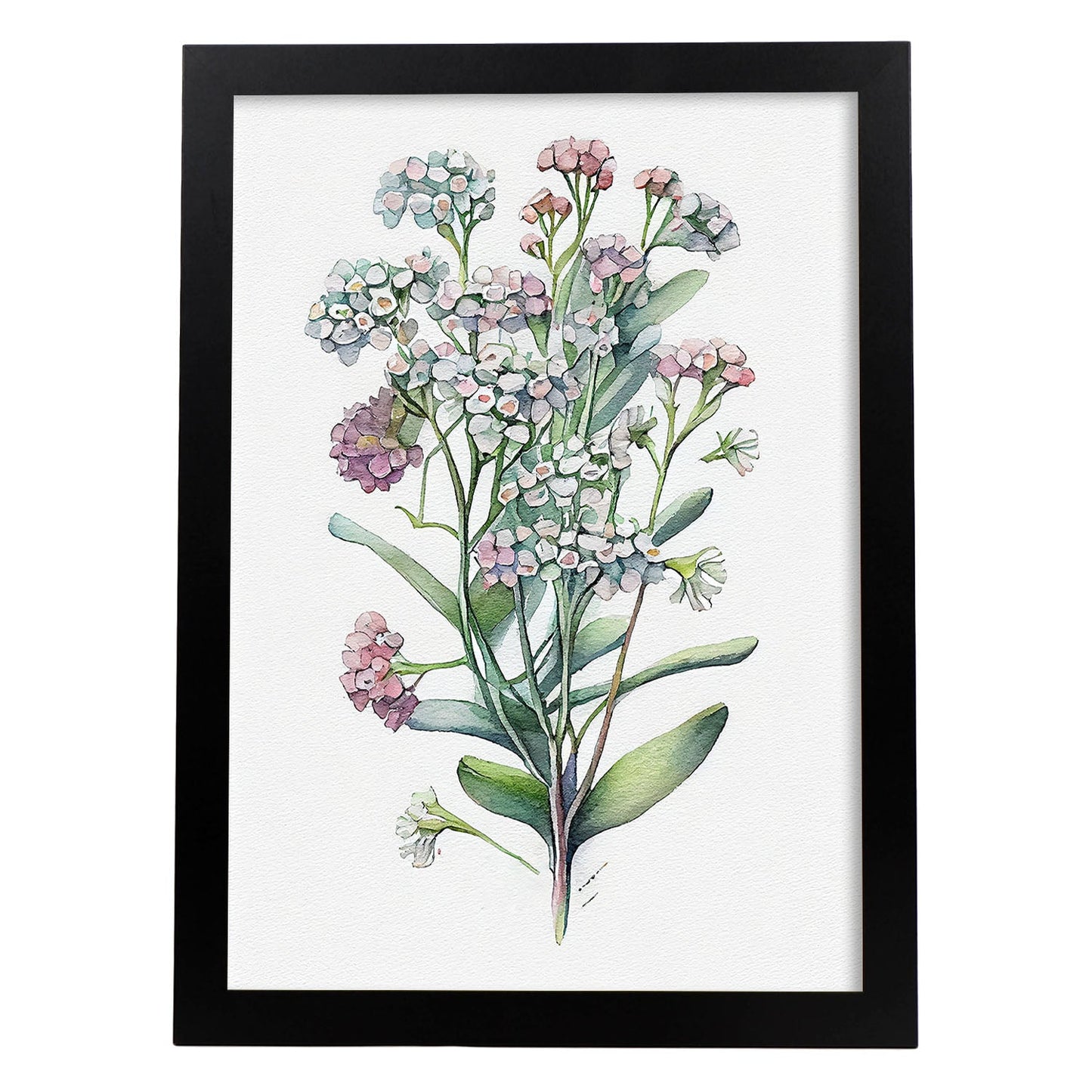 Lámina Nacnic de Acuarela Minimalista Sweet Alyssum