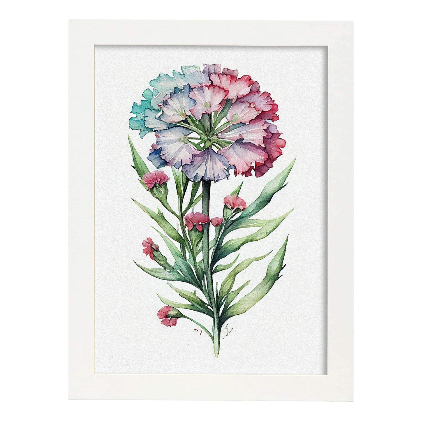 Nacnic watercolor minmal Sweet William_1. Aesthetic Wall Art Prints for Bedroom or Living Room Design.-Artwork-Nacnic-A4-Marco Blanco-Nacnic Estudio SL