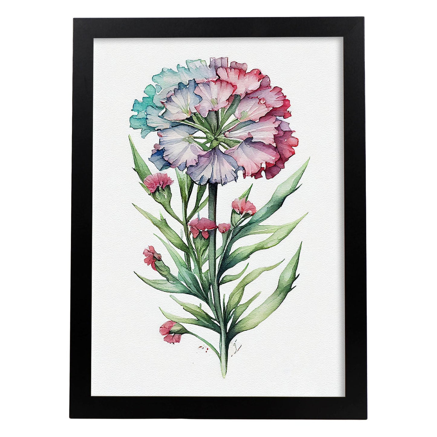 Lámina Nacnic Acuarela Minimalista Sweet William