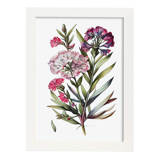 Nacnic watercolor minmal Sweet William_2. Aesthetic Wall Art Prints for Bedroom or Living Room Design.-Artwork-Nacnic-A4-Marco Blanco-Nacnic Estudio SL