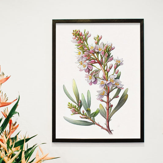 Lámina Nacnic de Acuarela Minimalista Waxflower_2