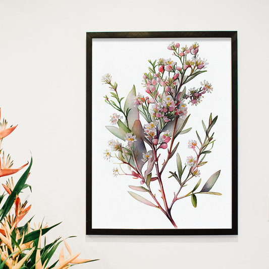 Lámina Nacnic de Acuarela Minimalista Waxflower_3