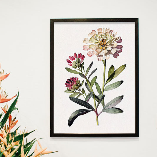 Lamina de Acuarela Minimalista Zinnia_2 de Nacnic