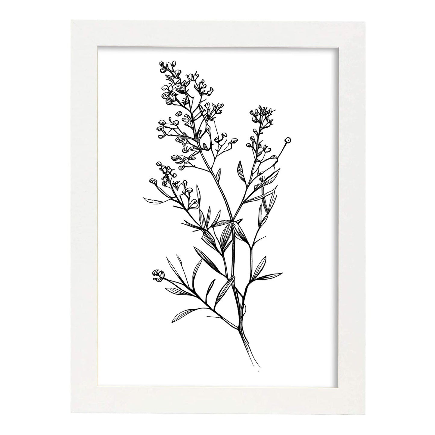 Lámina Minimalista Nacnic Waxflower Arte Lineal Aestético