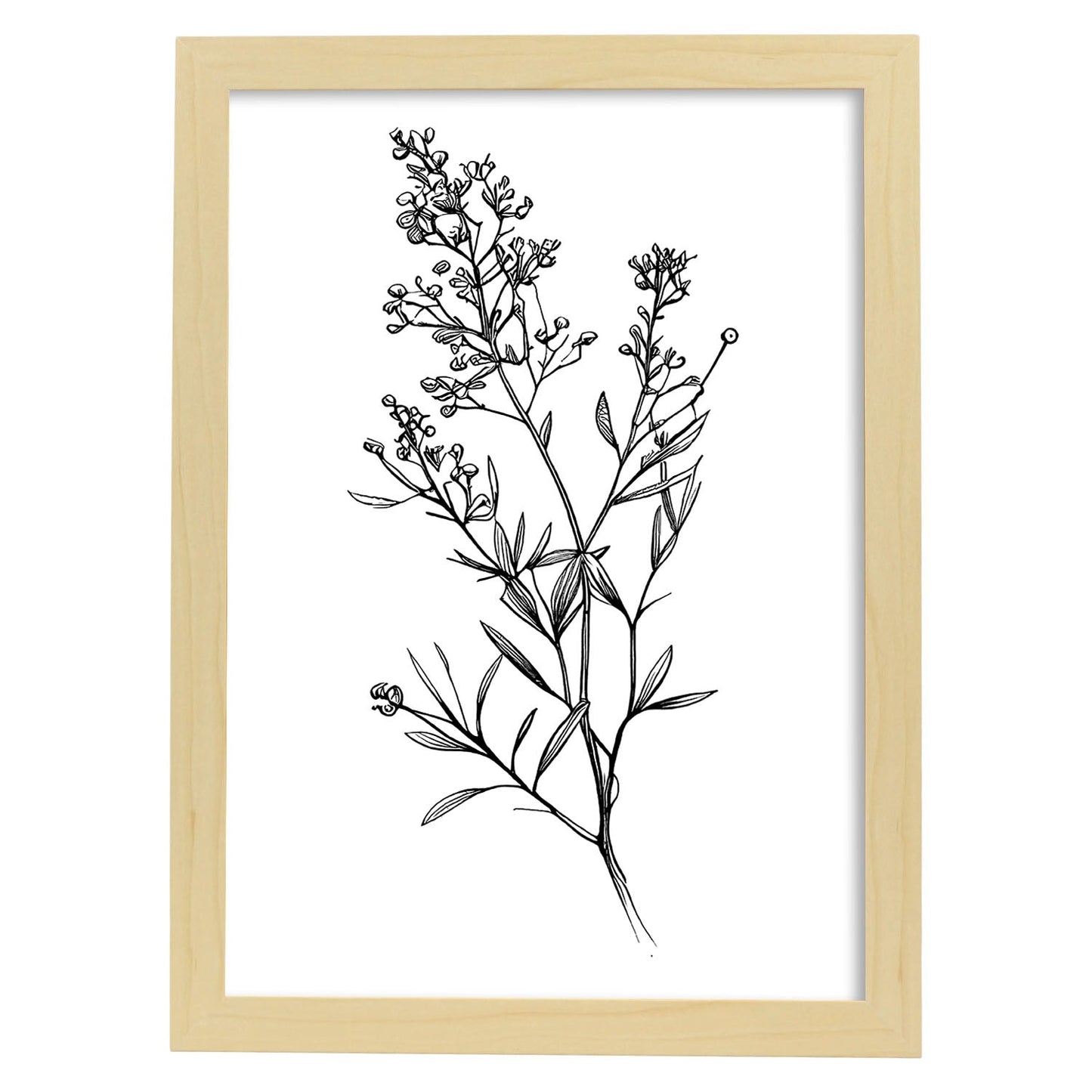 Lámina Minimalista Nacnic Waxflower Arte Lineal Aestético