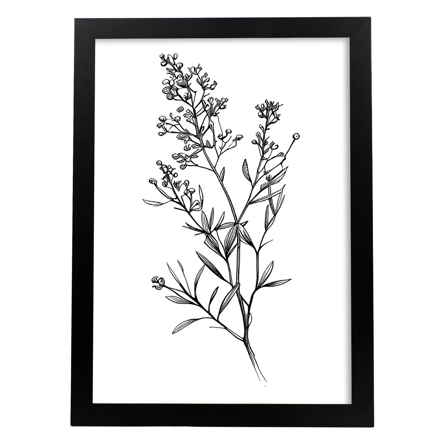 Lámina Minimalista Nacnic Waxflower Arte Lineal Aestético