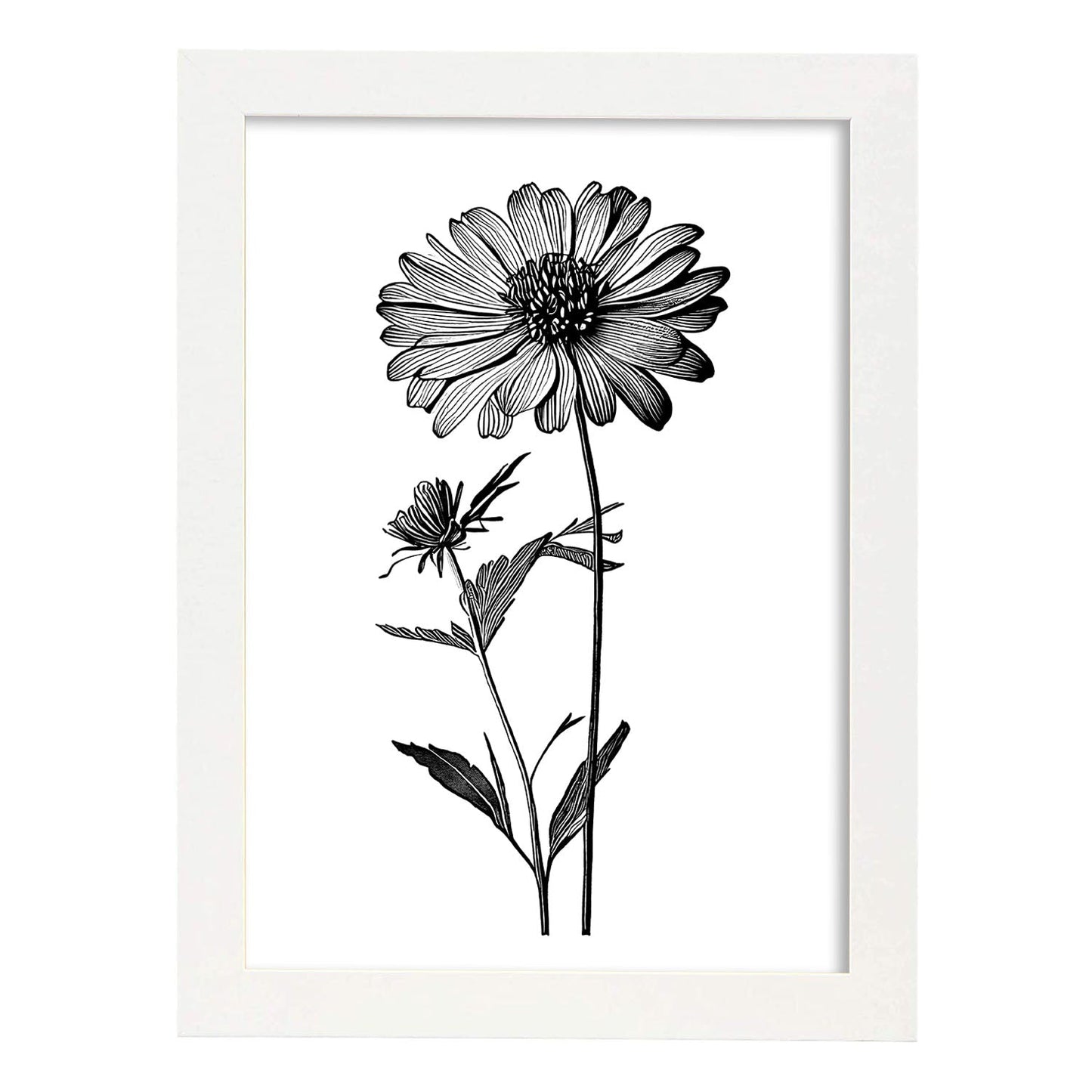 Lámina Nacnic Zinnia Arte Minimalista Lineal