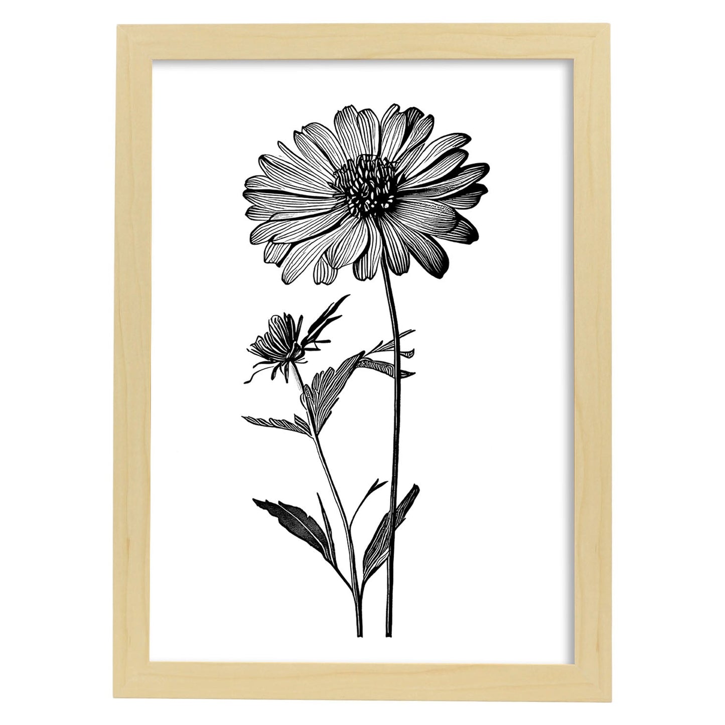 Lámina Nacnic Zinnia Arte Minimalista Lineal