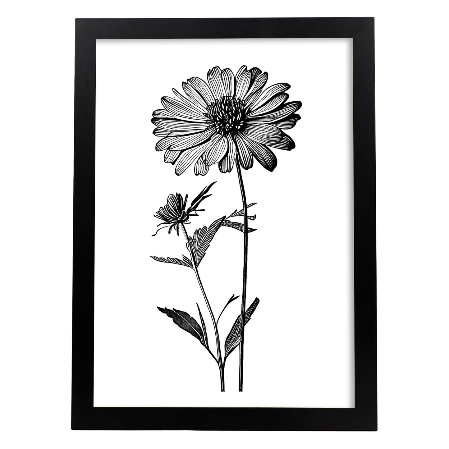 Lámina Nacnic Zinnia Arte Minimalista Lineal