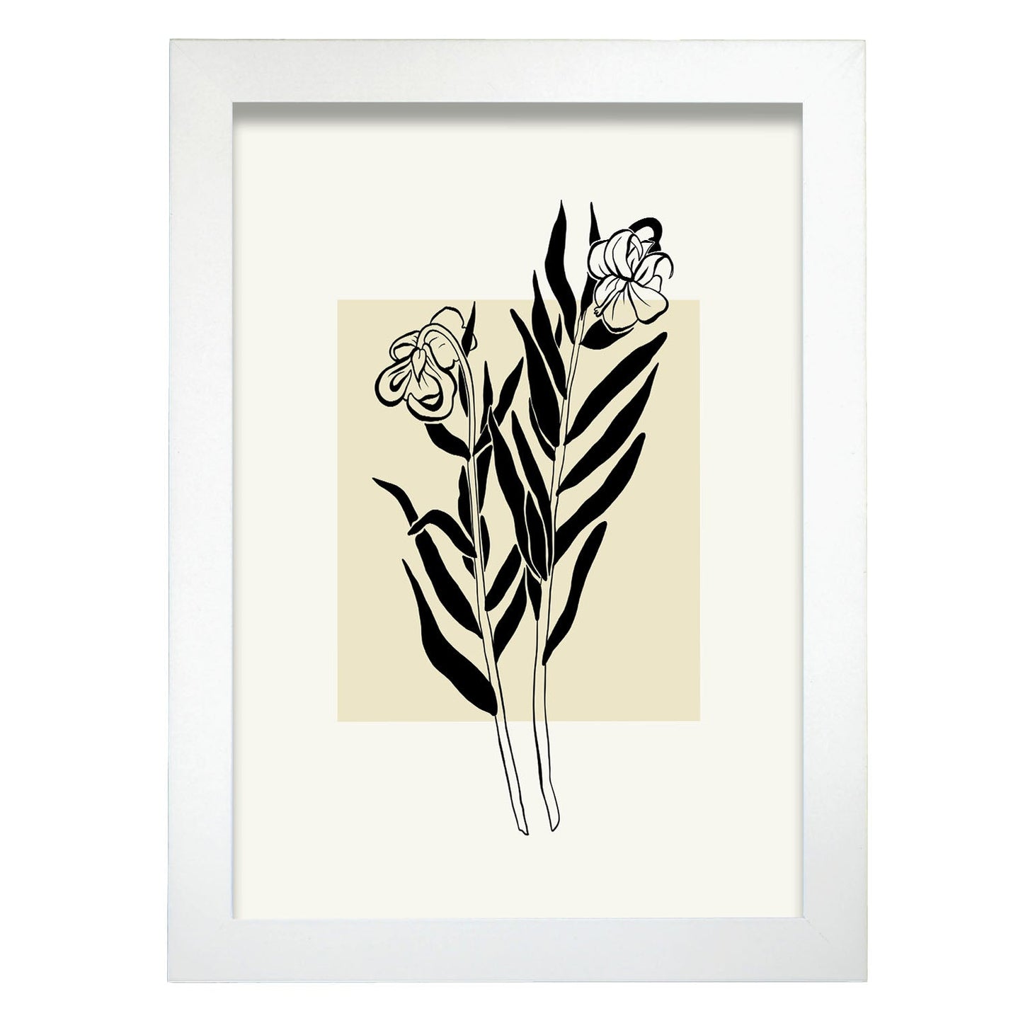 Nerium Oleander-Artwork-Nacnic-A4-Marco Blanco-Nacnic Estudio SL