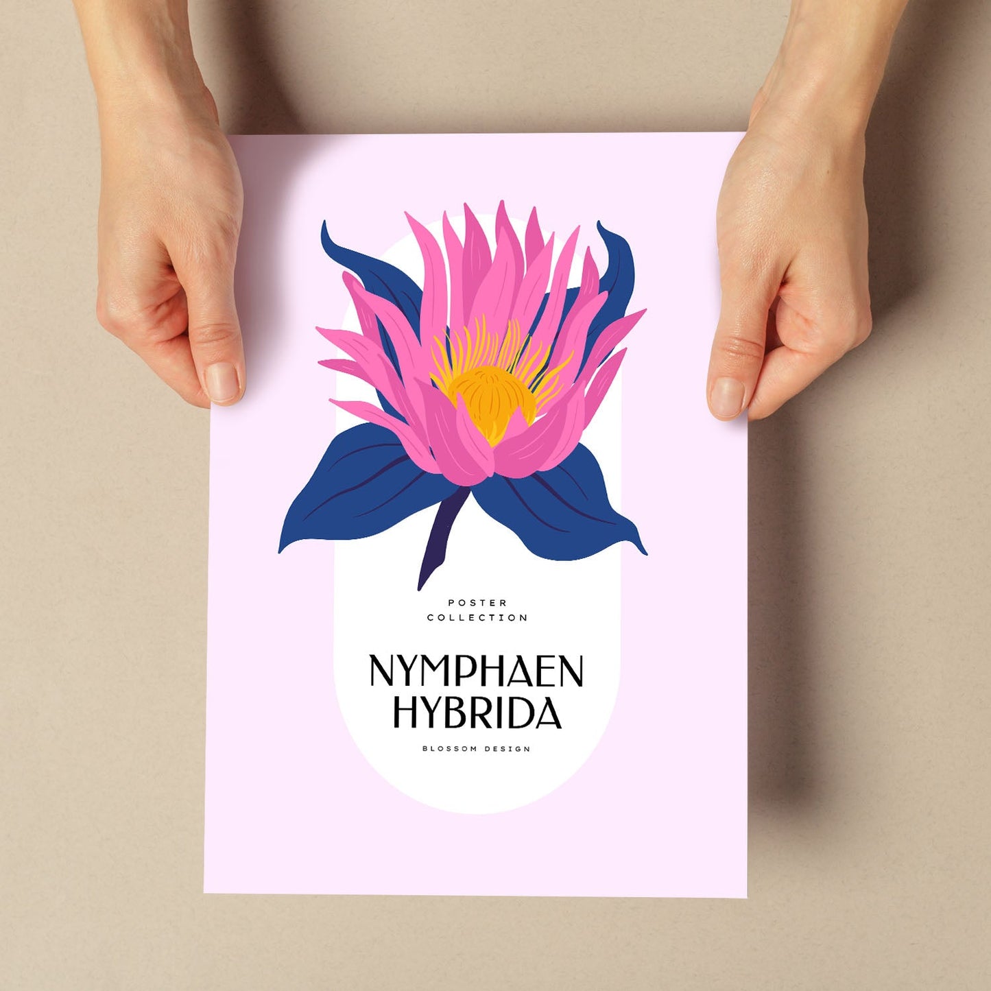 Nymphaen Hybrida-Artwork-Nacnic-Nacnic Estudio SL