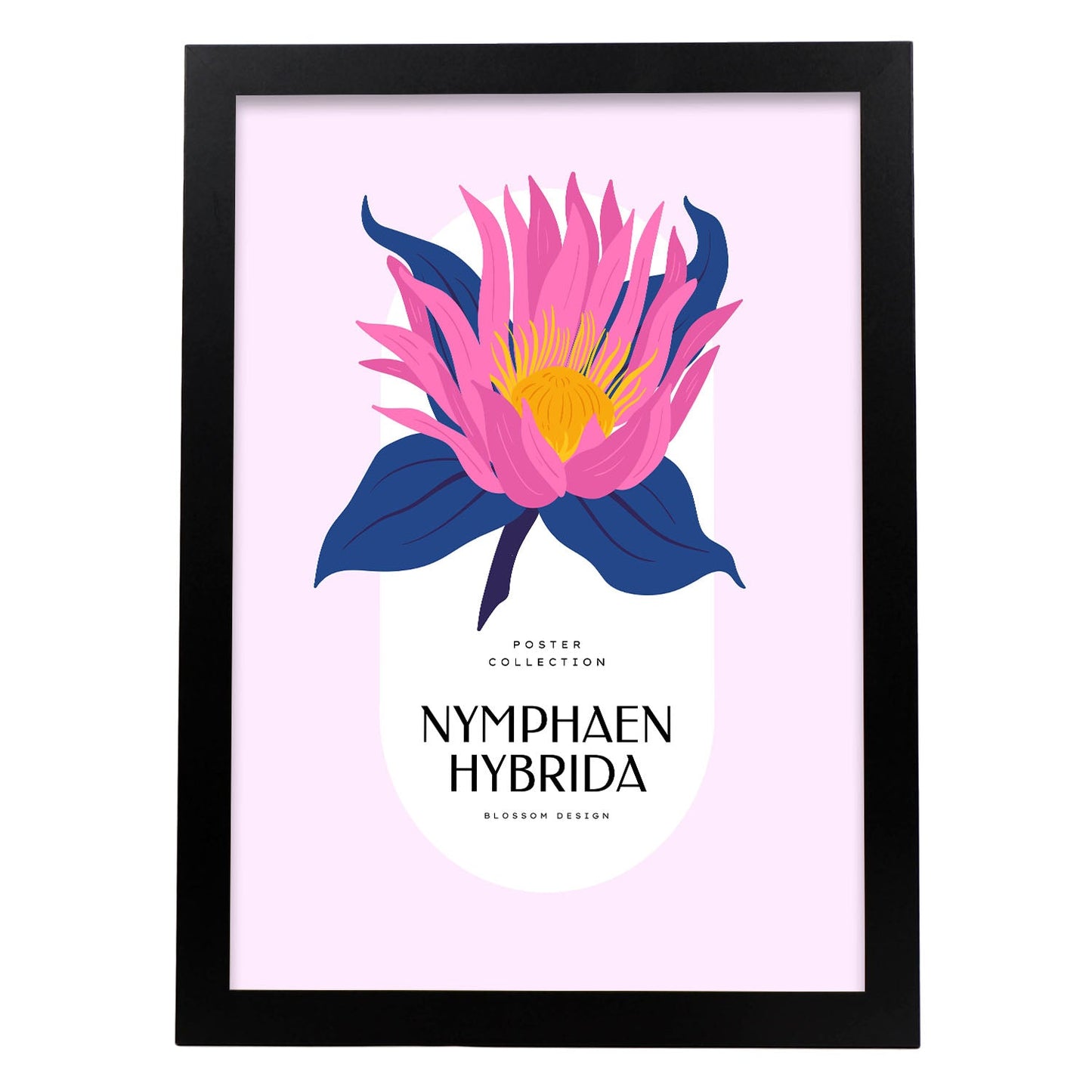 Nymphaen Hybrida-Artwork-Nacnic-A3-Sin marco-Nacnic Estudio SL