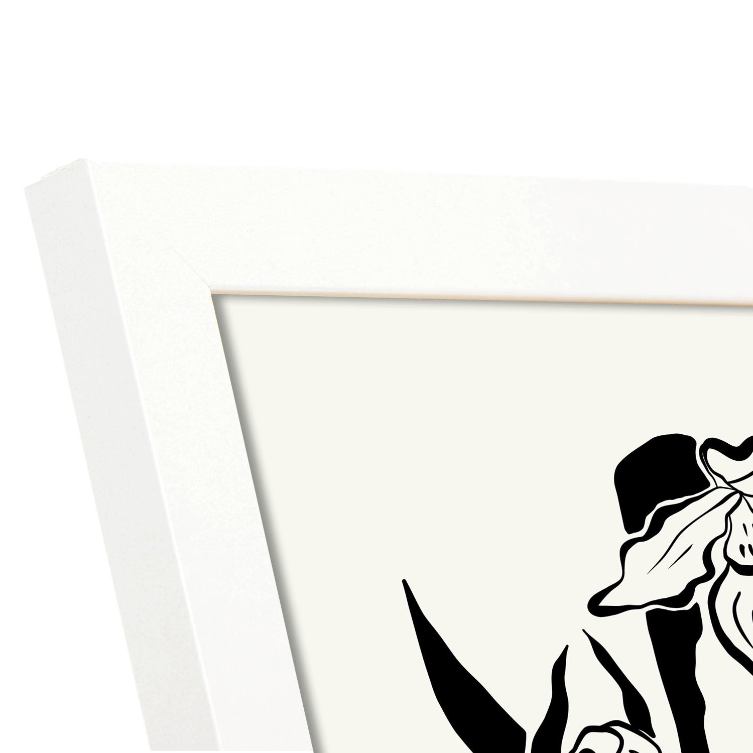 Orchids-Artwork-Nacnic-Nacnic Estudio SL