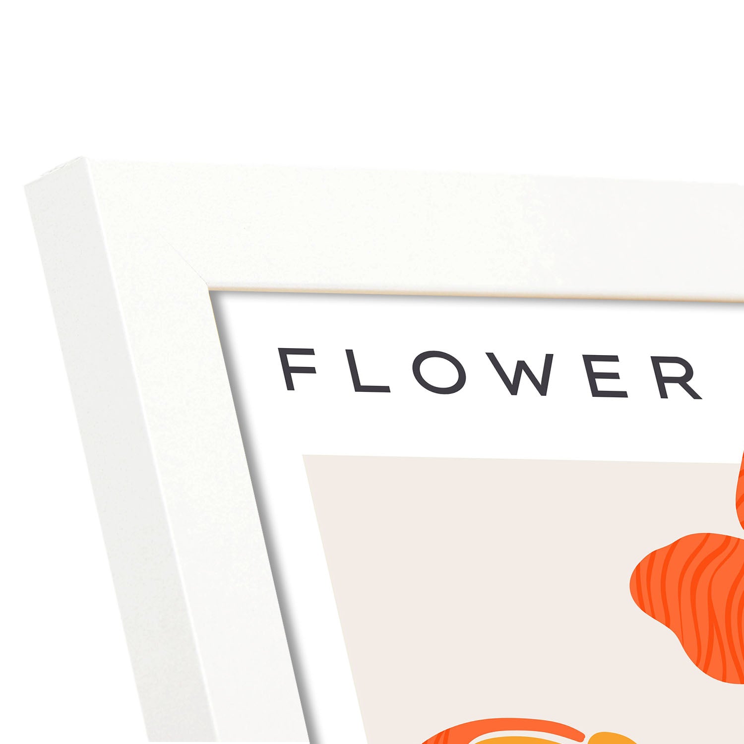 Orchids-Artwork-Nacnic-Nacnic Estudio SL