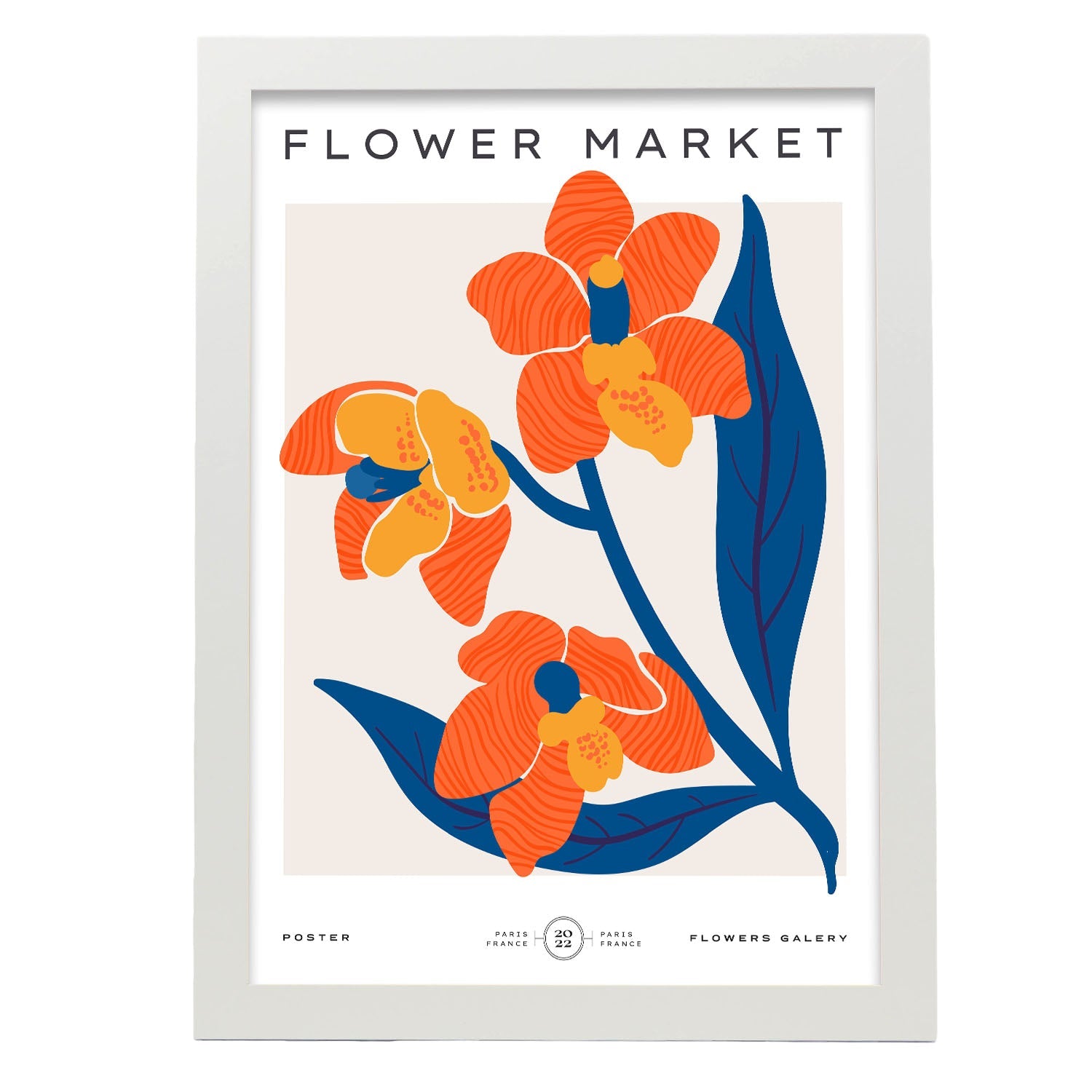 Orchids-Artwork-Nacnic-A3-Marco Blanco-Nacnic Estudio SL