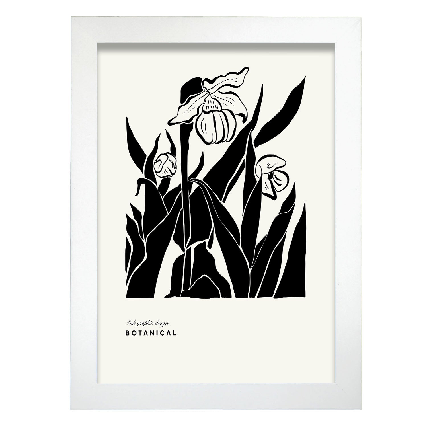 Orchids-Artwork-Nacnic-A4-Marco Blanco-Nacnic Estudio SL