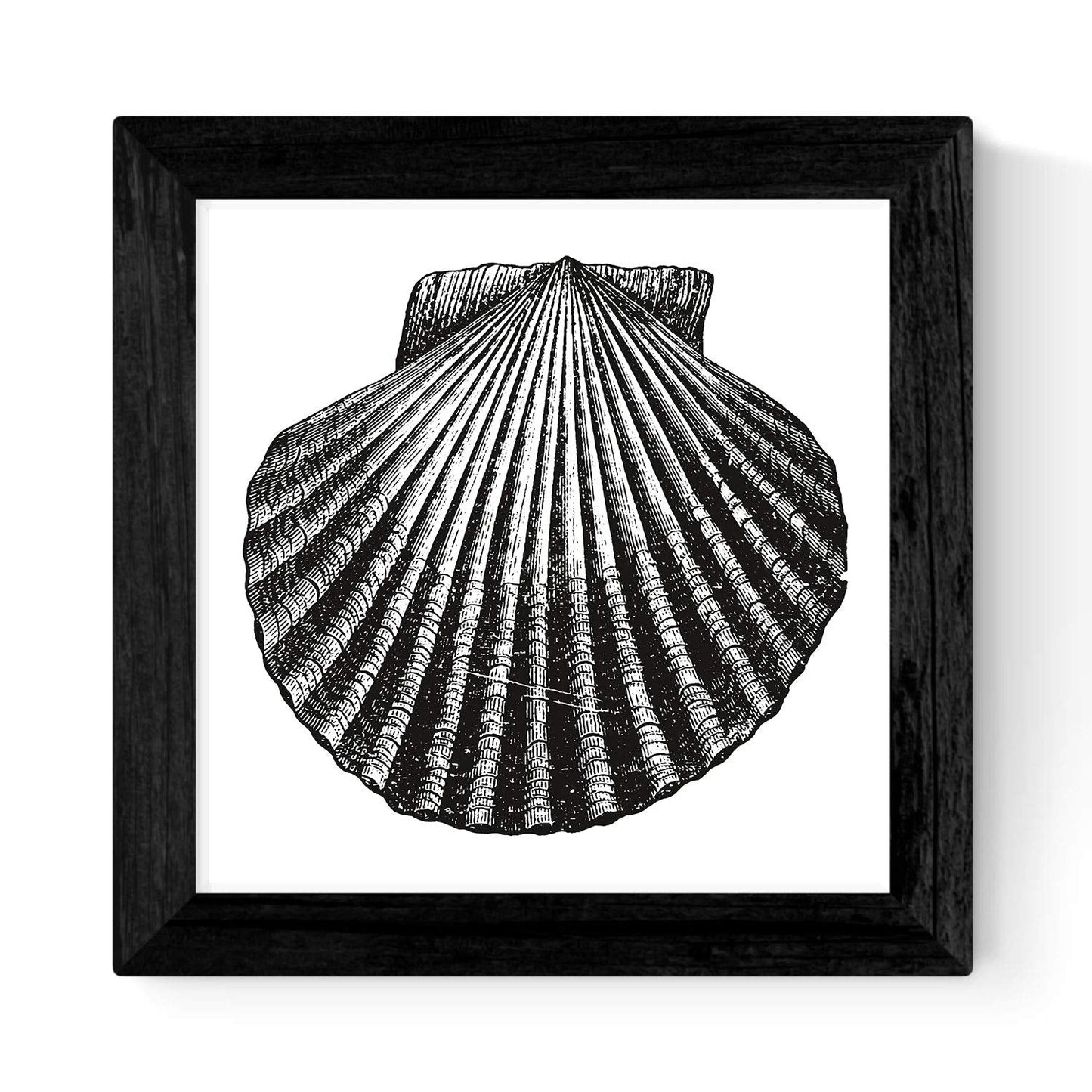 Pack de 3 láminas de Animales Marinos EN Blanco Y Negro.-Artwork-Nacnic-Nacnic Estudio SL