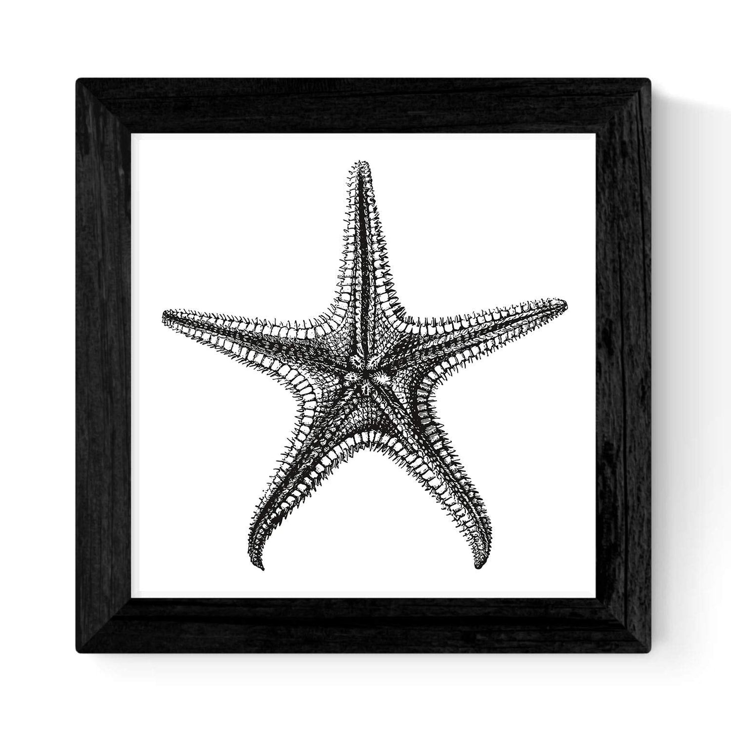 Pack de 3 láminas de Animales Marinos EN Blanco Y Negro.-Artwork-Nacnic-Nacnic Estudio SL