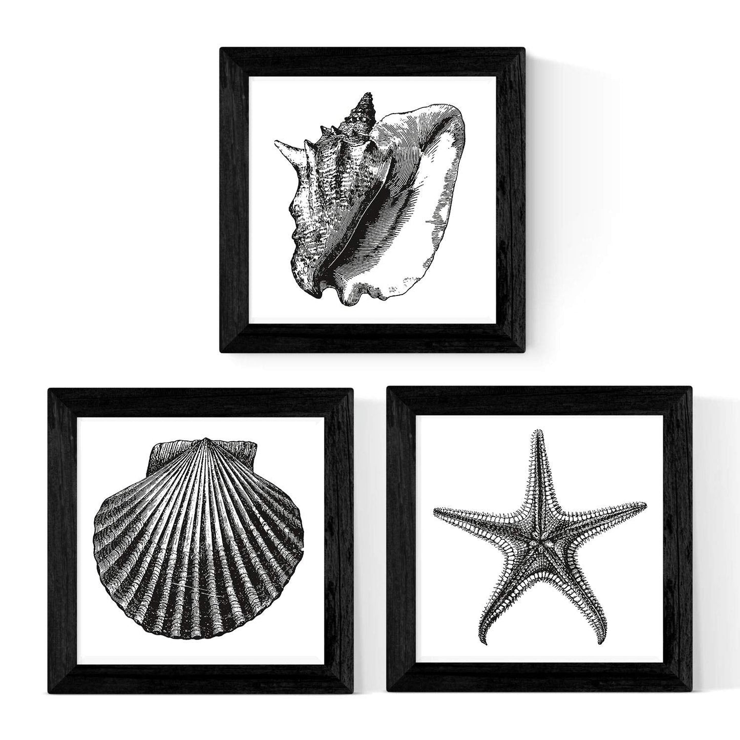 Pack de 3 láminas de Animales Marinos EN Blanco Y Negro.-Artwork-Nacnic-Nacnic Estudio SL