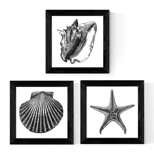 Pack de 3 láminas de Animales Marinos EN Blanco Y Negro.-Artwork-Nacnic-Nacnic Estudio SL