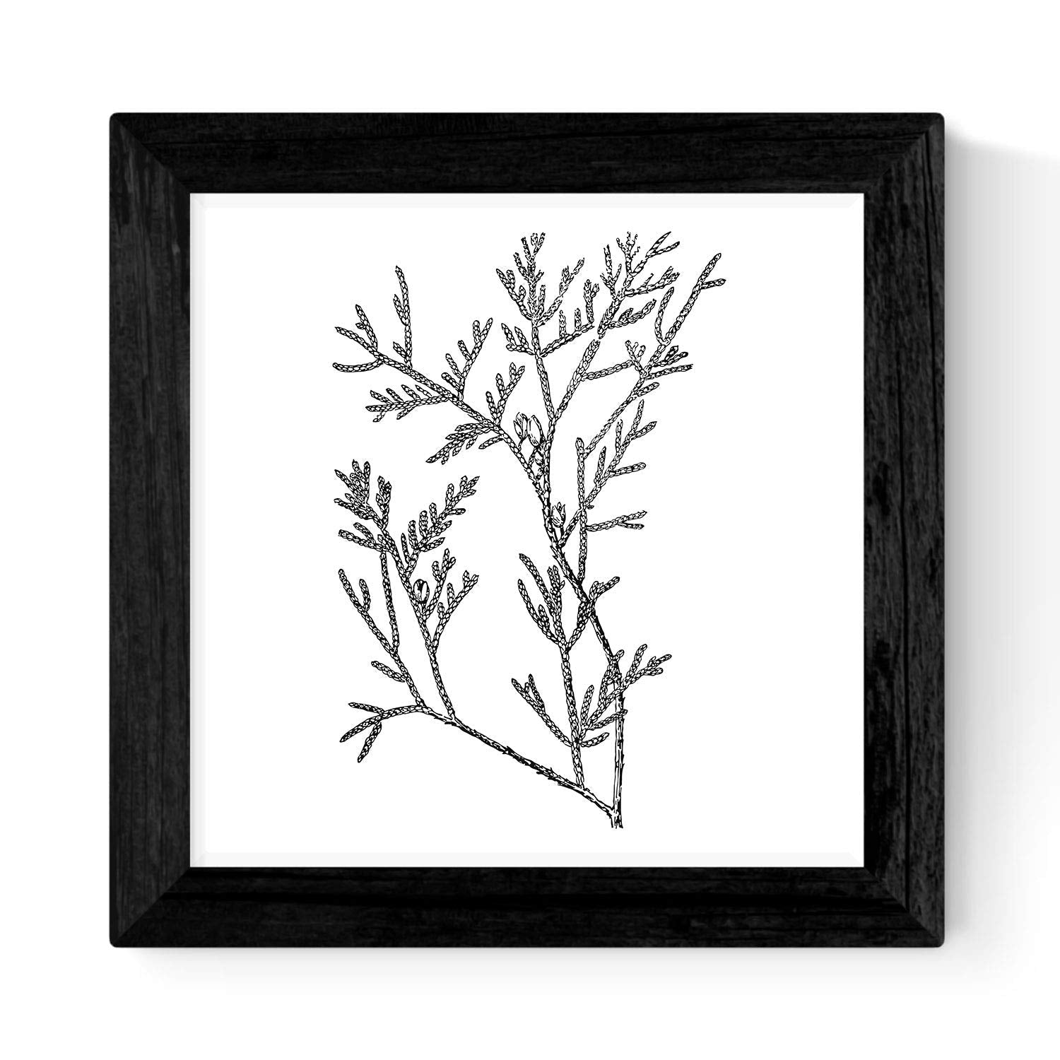 Pack de 3 láminas de Ramas DE ARBOLES.-Artwork-Nacnic-Nacnic Estudio SL