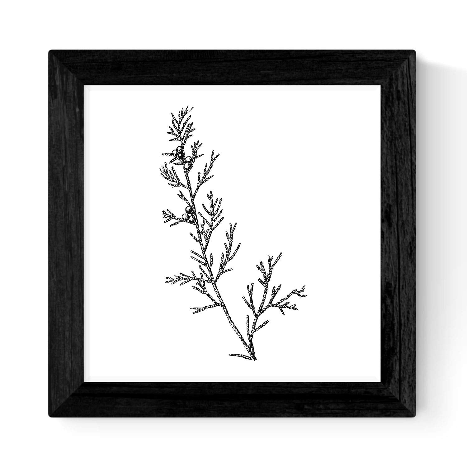 Pack de 3 láminas de Ramas DE ARBOLES.-Artwork-Nacnic-Nacnic Estudio SL