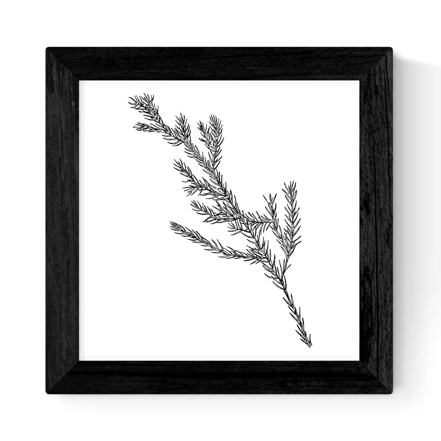 Pack de 3 láminas de Ramas DE ARBOLES.-Artwork-Nacnic-Nacnic Estudio SL