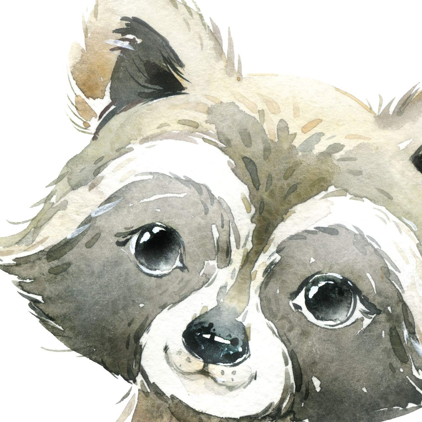 Pack de cuatro láminas con ilustraciones de animales. Mapache ciervo mofeta y zorro.-Artwork-Nacnic-Nacnic Estudio SL