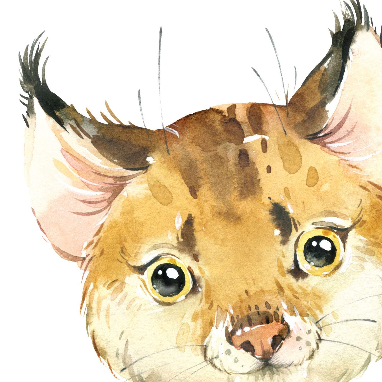 Pack de cuatro láminas con ilustraciones de animales. Mapache zorro burro y leopardo.-Artwork-Nacnic-Nacnic Estudio SL