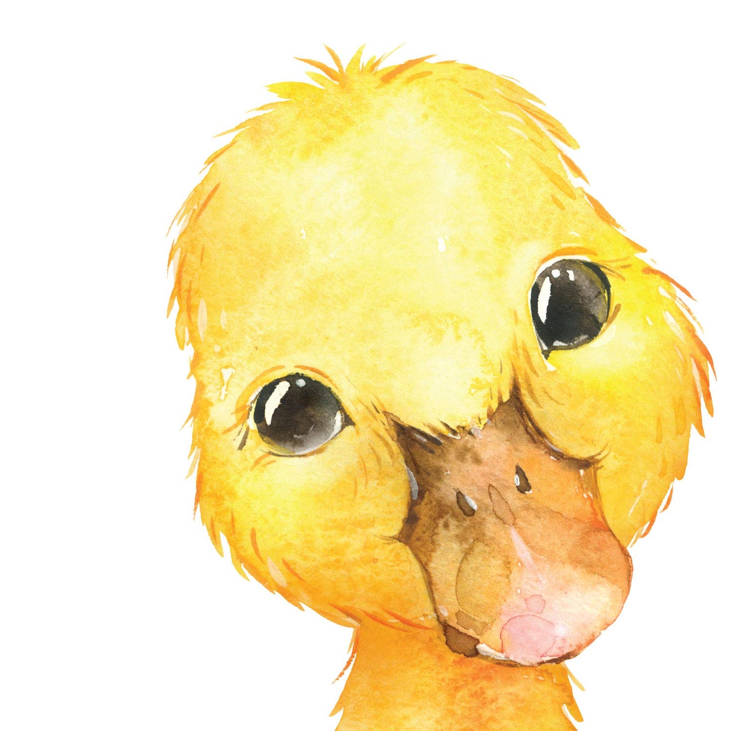 Pack de cuatro láminas con ilustraciones de animales. Pato cabra cerdo y zorro.-Artwork-Nacnic-Nacnic Estudio SL