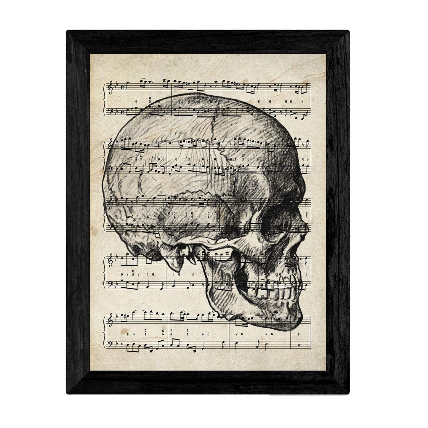 Pack de Dos láminas Vintage (Vintage Calaveras con partitura, A4).-Artwork-Nacnic-Nacnic Estudio SL