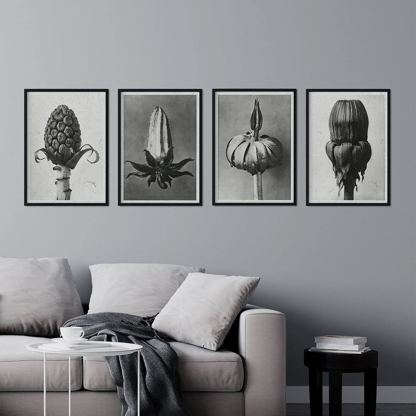 Pack de láminas Brotes. Pósters con ilustraciones de flores y plantas en tonos grises.-Artwork-Nacnic-Nacnic Estudio SL