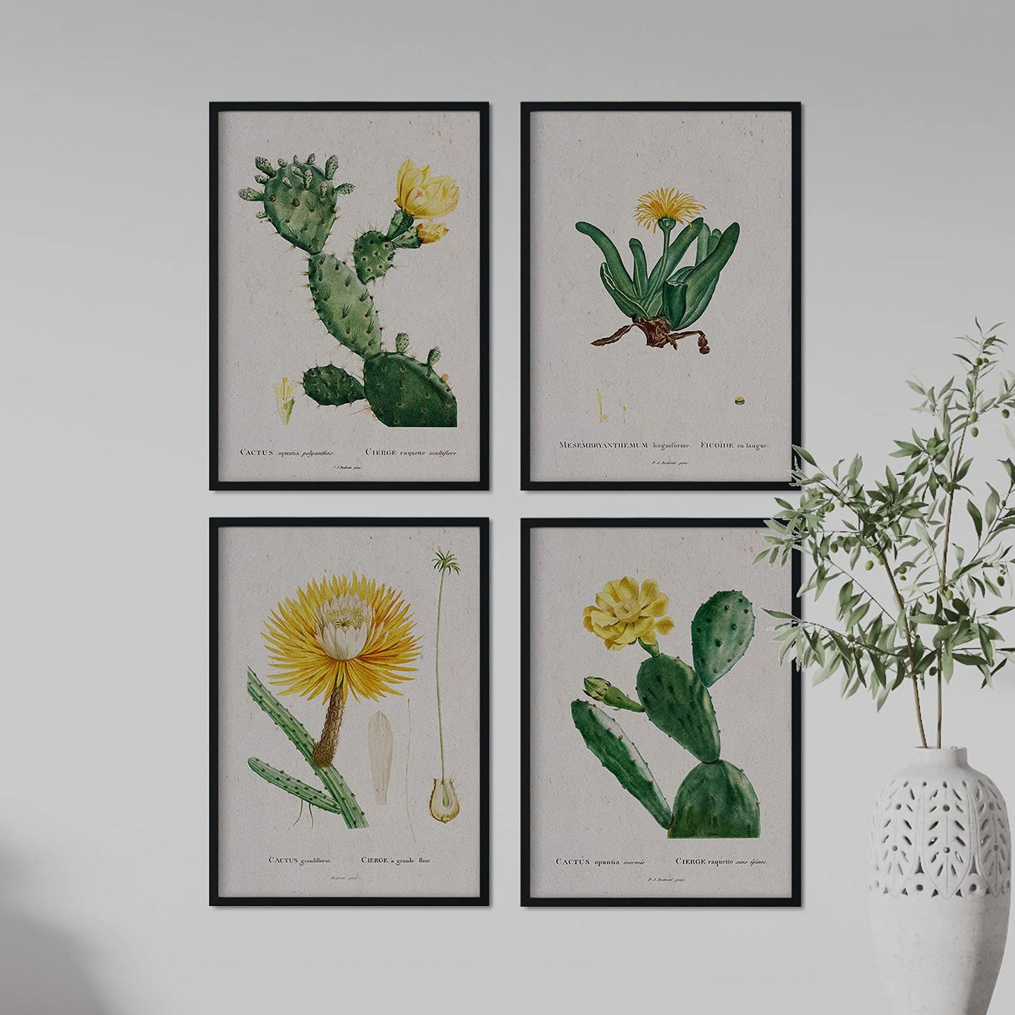 Pack de láminas Cactus amarillo. Pósters con ilustraciones en acuarela de Pierre-Joseph Redouté.-Artwork-Nacnic-Nacnic Estudio SL