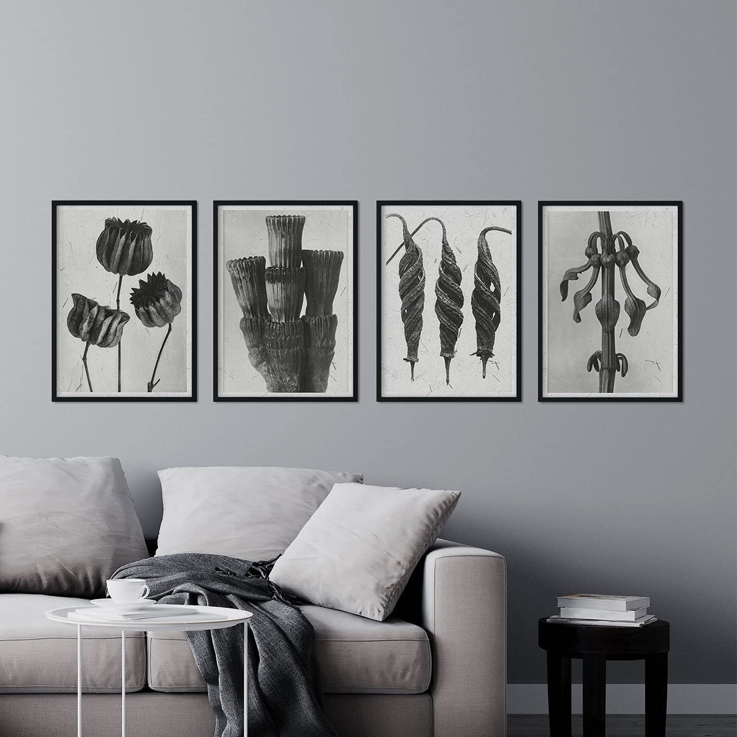 Pack de láminas Exóticas. Pósters con ilustraciones de flores y plantas en tonos grises.-Artwork-Nacnic-Nacnic Estudio SL