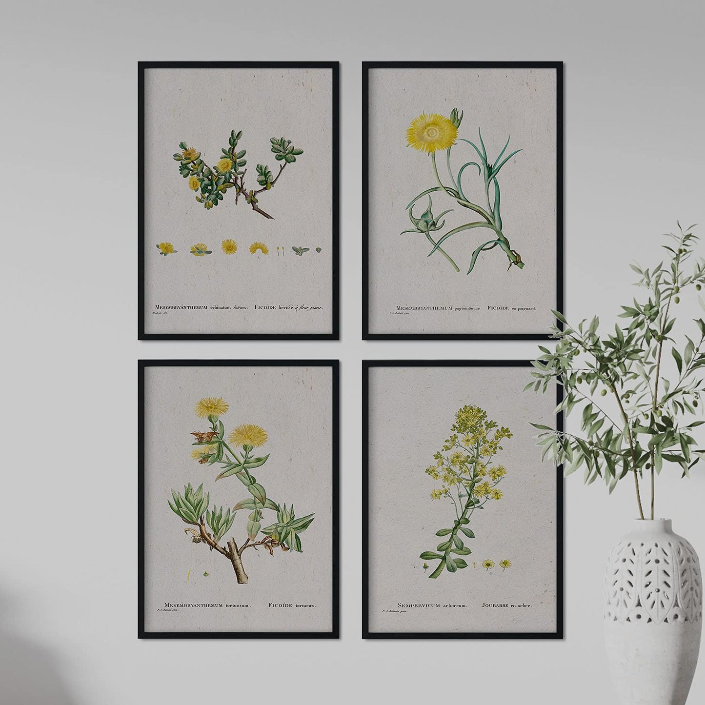 Pack de láminas Flores amarillas. Pósters con ilustraciones en acuarela de Pierre-Joseph Redouté.-Artwork-Nacnic-Nacnic Estudio SL