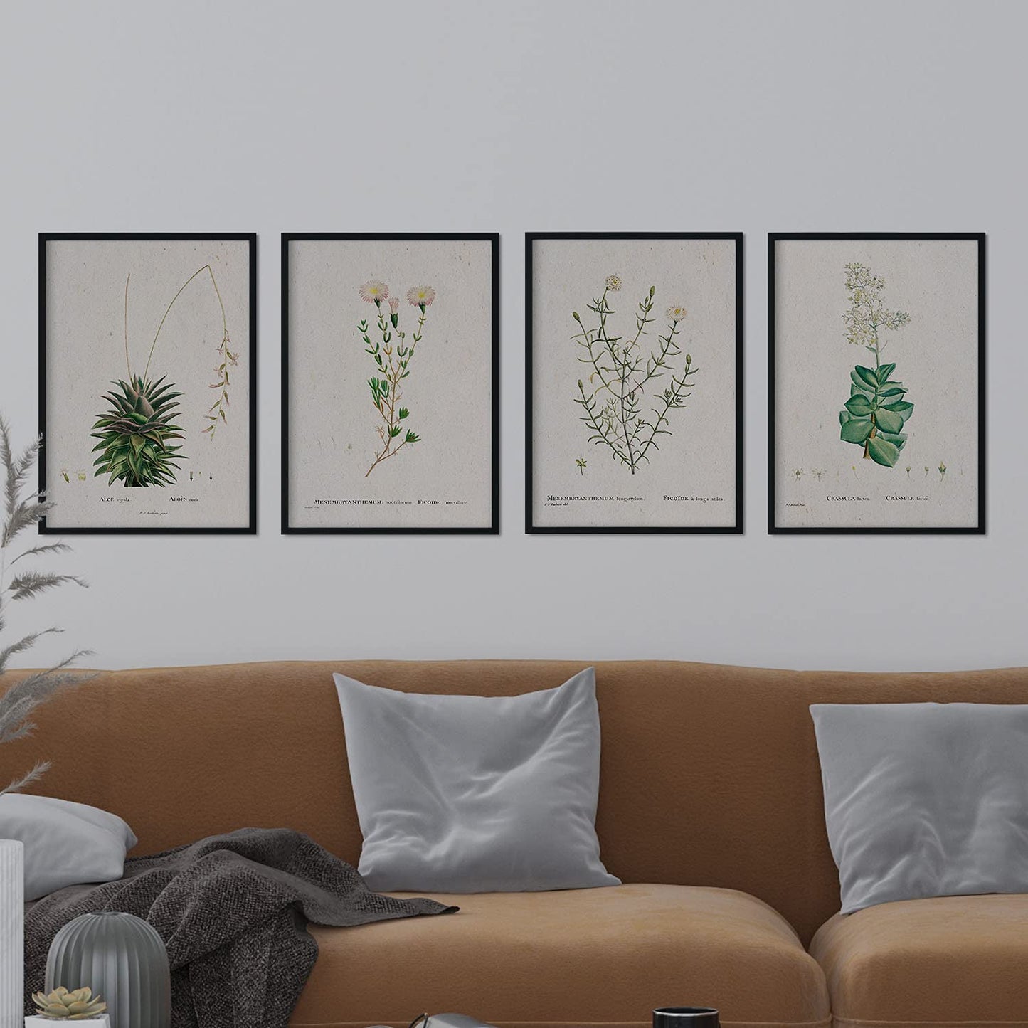 Pack de láminas Flores blancas. Pósters con ilustraciones en acuarela de Pierre-Joseph Redouté.-Artwork-Nacnic-Nacnic Estudio SL
