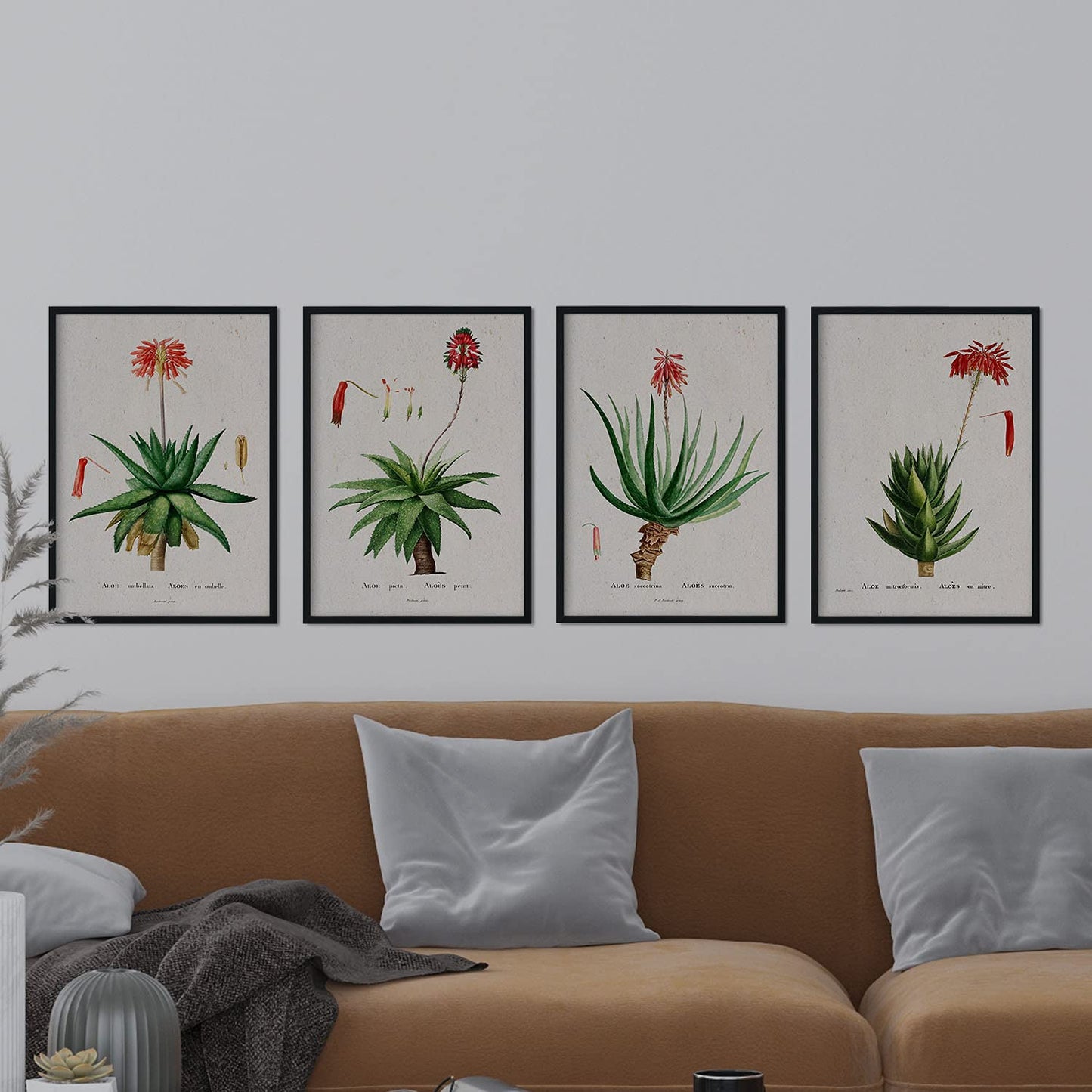 Pack de láminas Flores rojas. Pósters con ilustraciones en acuarela de Pierre-Joseph Redouté.-Artwork-Nacnic-Nacnic Estudio SL