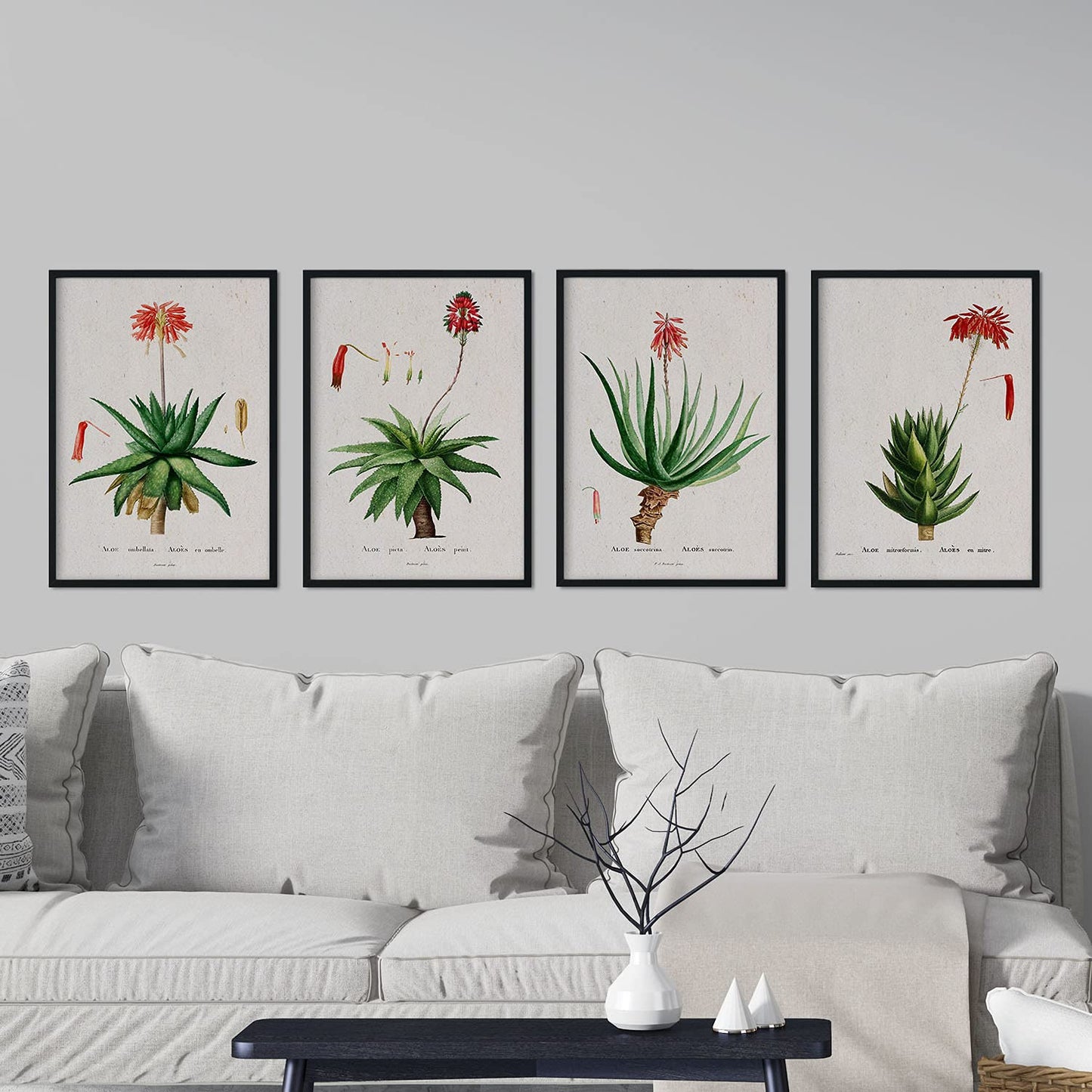Pack de láminas Flores rojas. Pósters con ilustraciones en acuarela de Pierre-Joseph Redouté.-Artwork-Nacnic-Nacnic Estudio SL