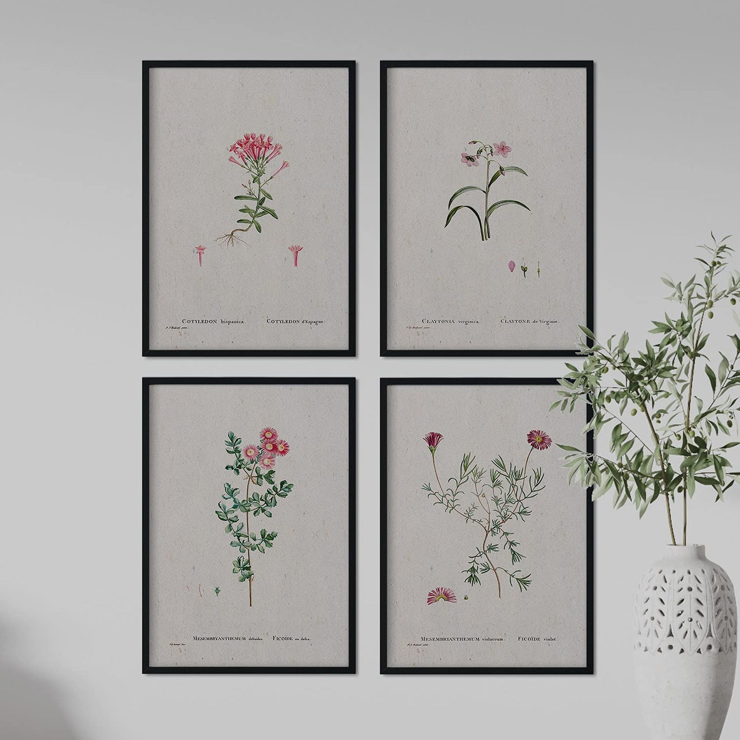 Pack de láminas Flores rosas. Pósters con ilustraciones en acuarela de Pierre-Joseph Redouté.-Artwork-Nacnic-Nacnic Estudio SL
