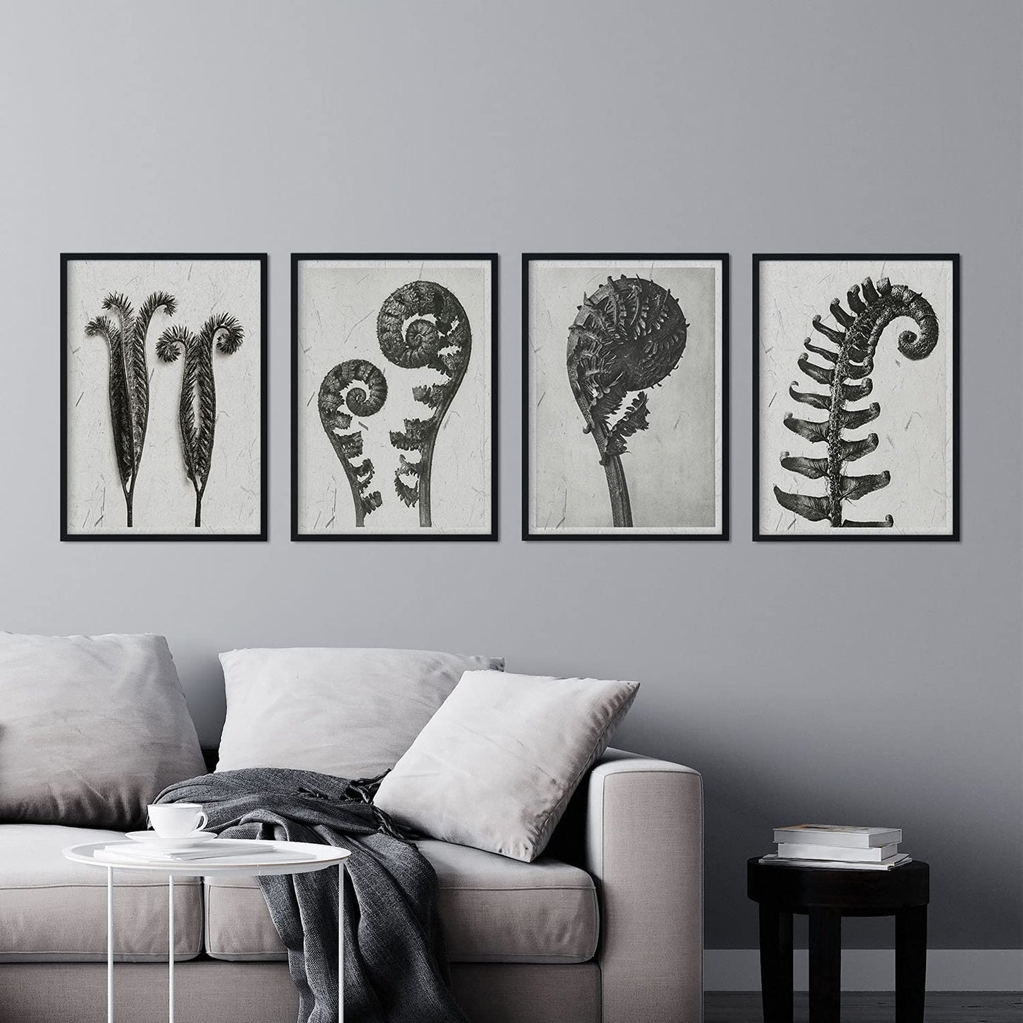 Pack de láminas Helechos. Pósters con ilustraciones de flores y plantas en tonos grises.-Artwork-Nacnic-Nacnic Estudio SL