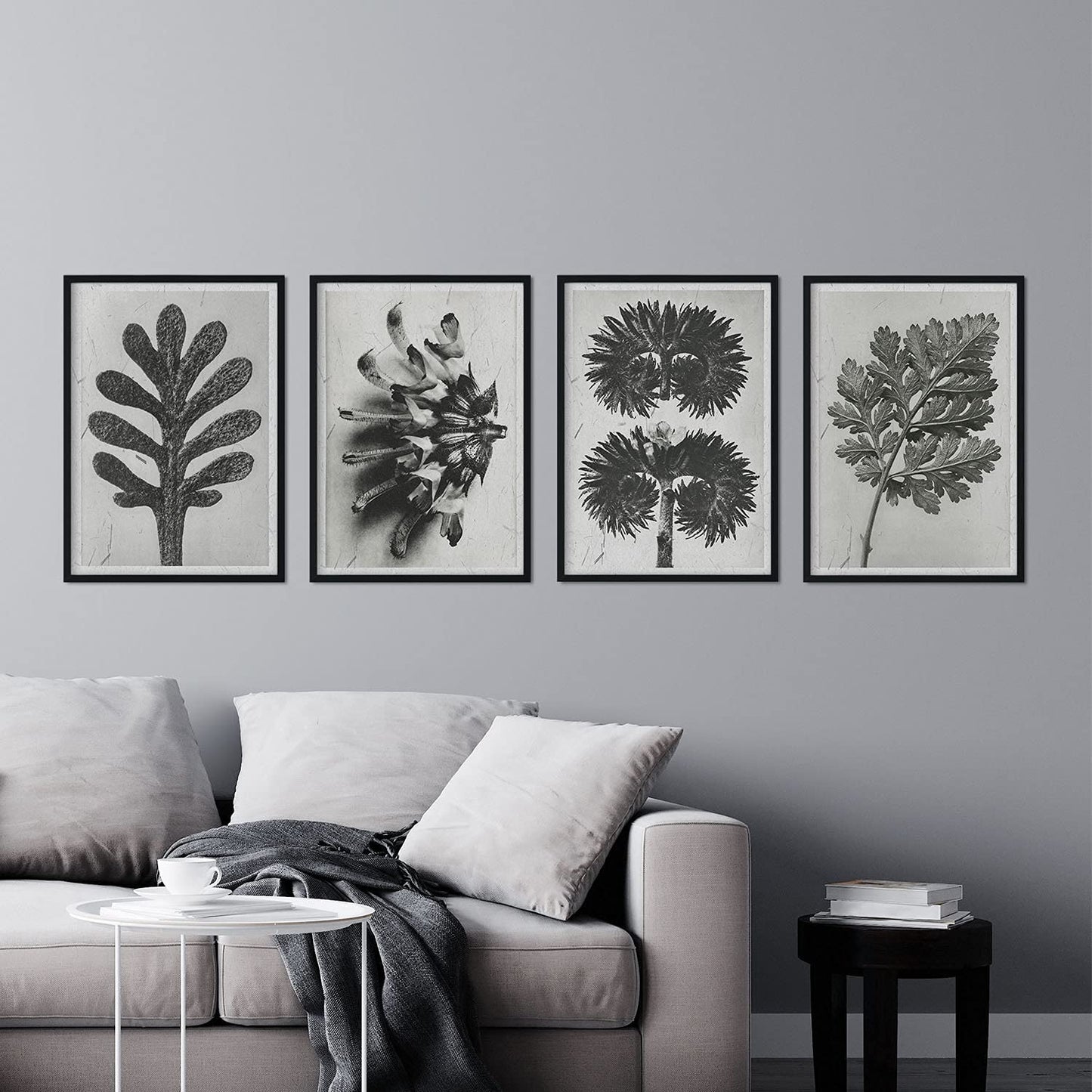 Pack de láminas Hojas. Pósters con ilustraciones de flores y plantas en tonos grises.-Artwork-Nacnic-Nacnic Estudio SL