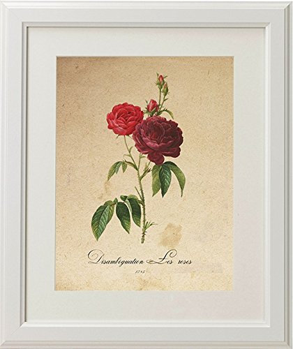 Pack de láminas MEDITERRANEO. Tres láminas . Posters con imágenes de botánica. alta calidad-Artwork-Nacnic-Nacnic Estudio SL