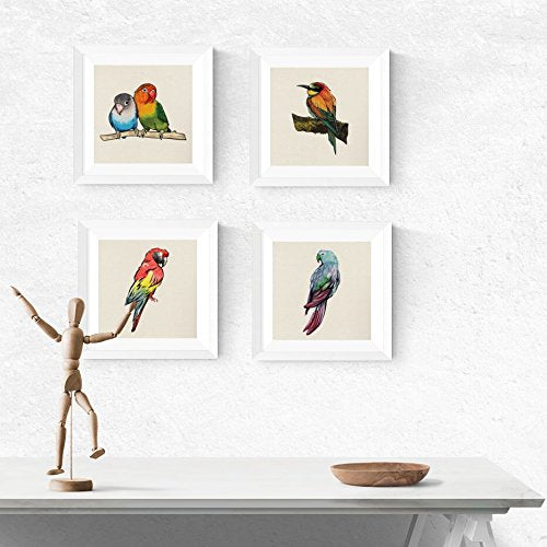 PACK de láminas para enmarcar CUATRO PÁJAROS. Posters cuadrados con imágenes de pájaros.-Artwork-Nacnic-Nacnic Estudio SL