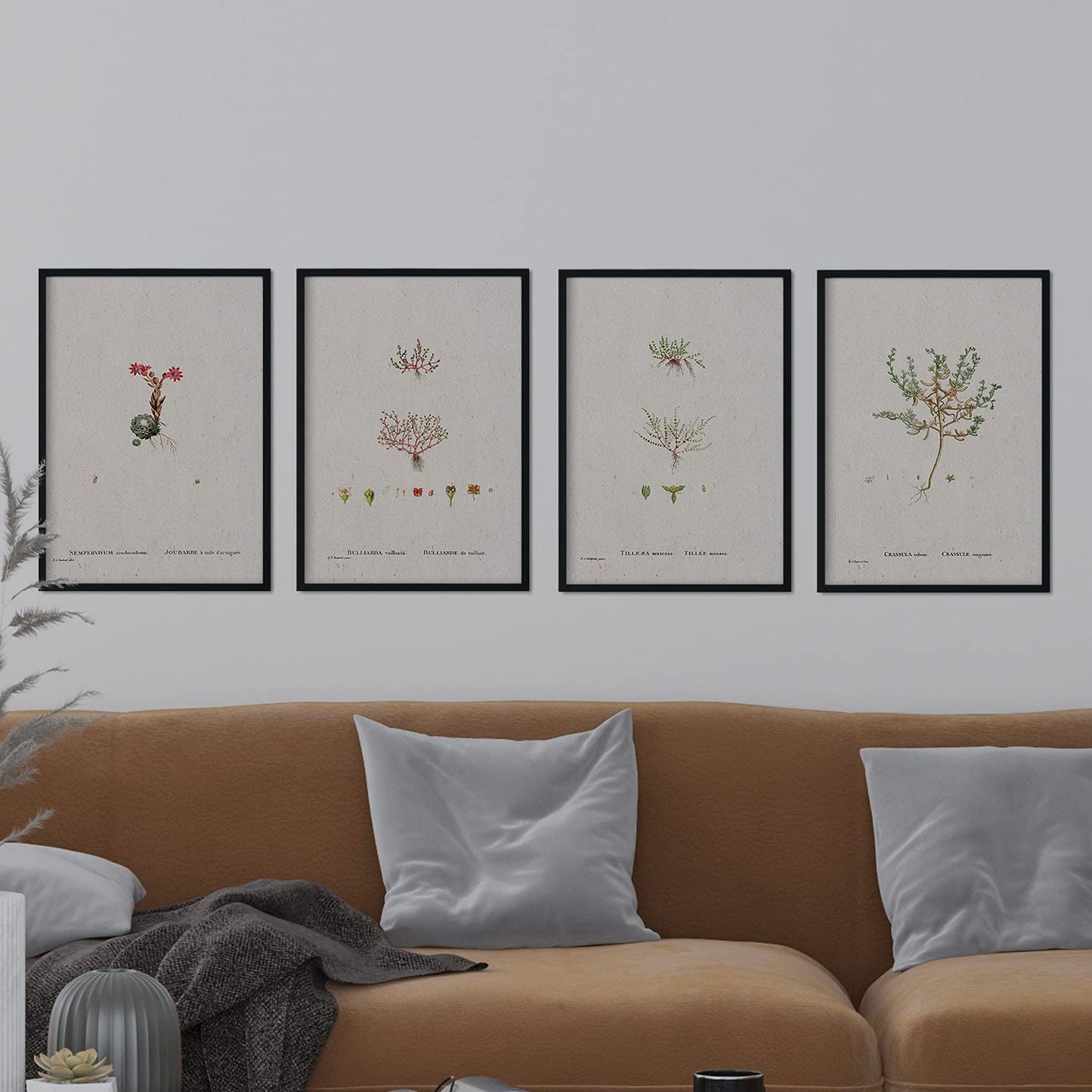 Pack de láminas Plantas pequeñas. Pósters con ilustraciones en acuarela de Pierre-Joseph Redouté.-Artwork-Nacnic-Nacnic Estudio SL