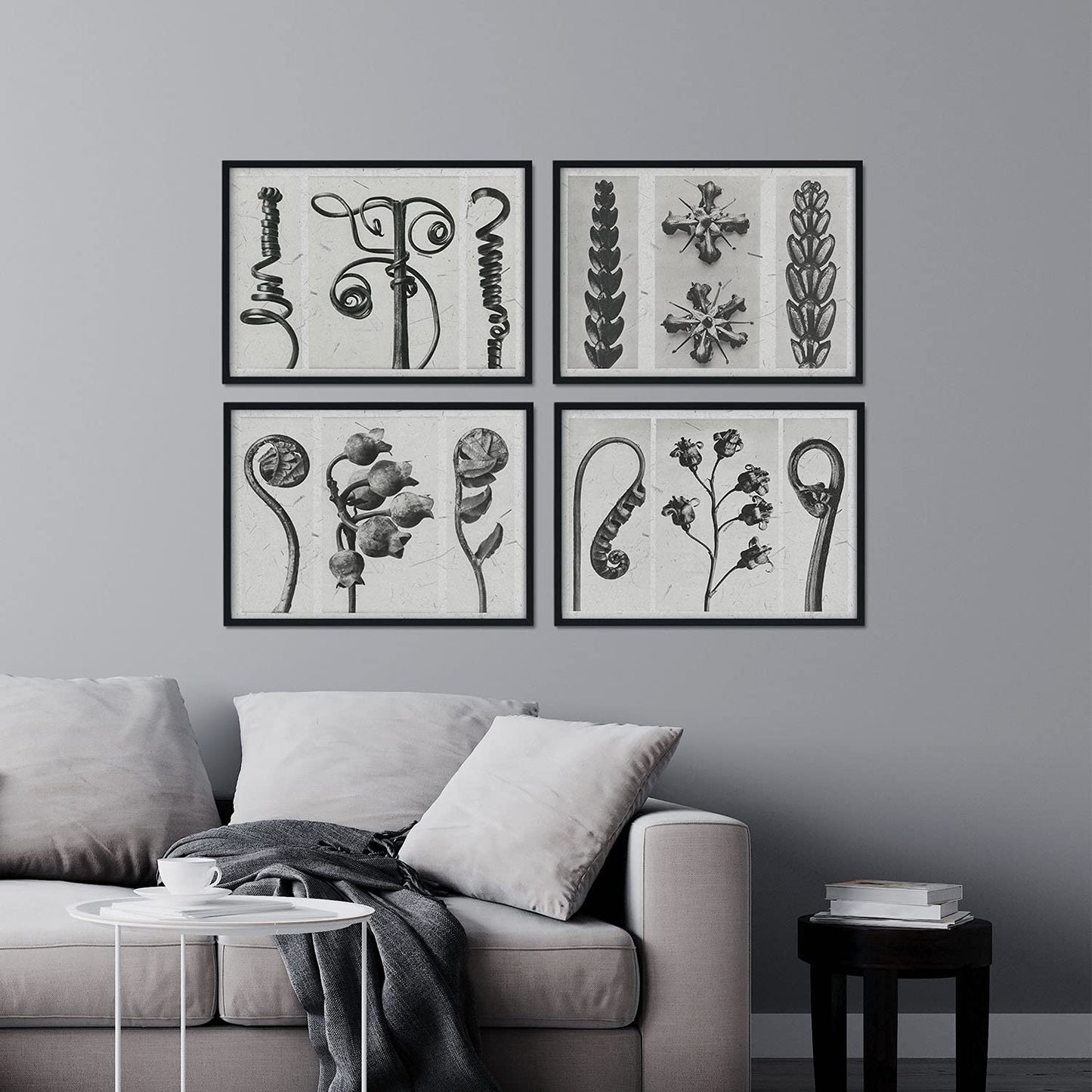 Pack de láminas Rizos. Pósters con ilustraciones de flores y plantas en tonos grises.-Artwork-Nacnic-Nacnic Estudio SL