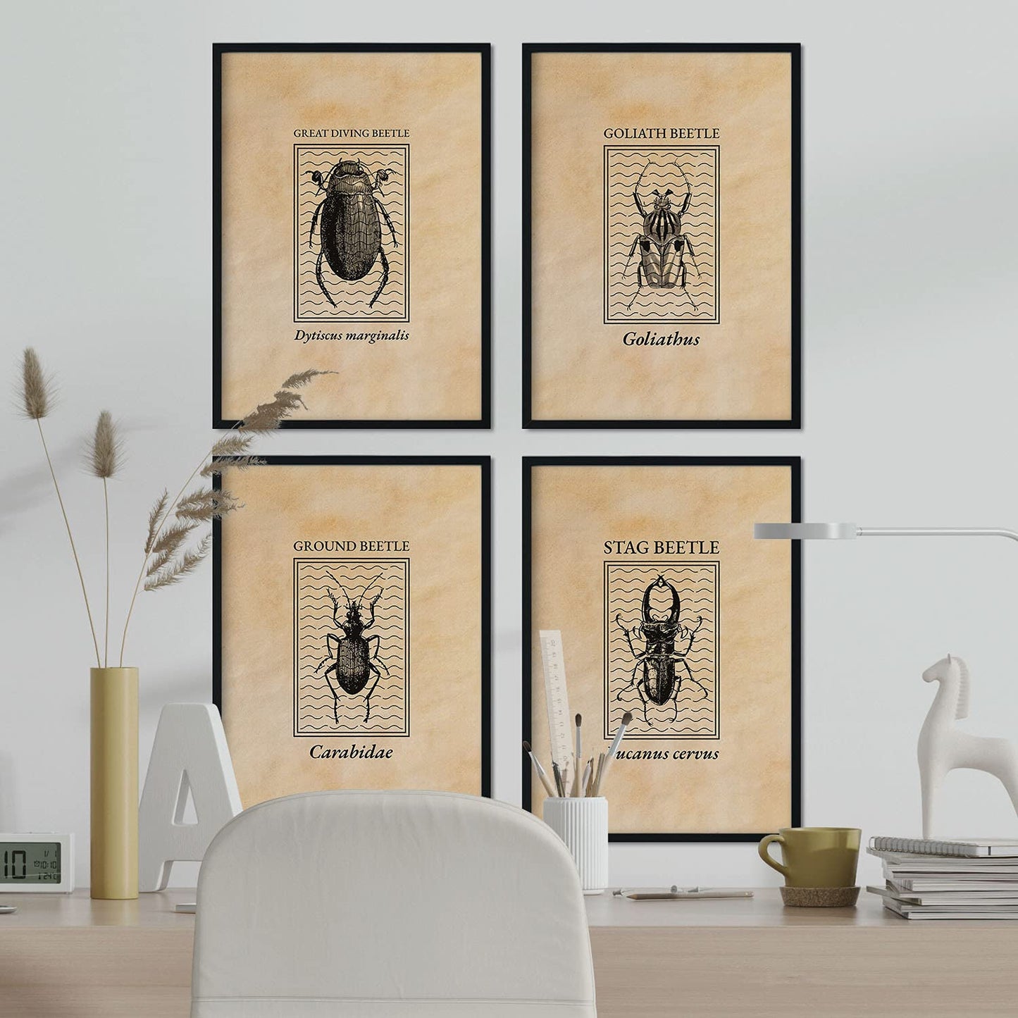 Pack de láminas Vintage Escarabajos. Pósters de insectos en estilo grabado y tonos sepia.-Artwork-Nacnic-Nacnic Estudio SL