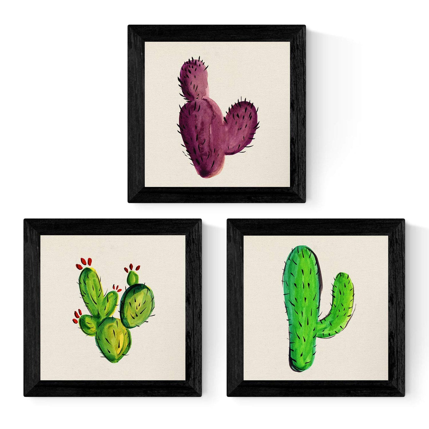PACK de tres láminas de cactus. Posters cuadrados con imágenes estampadas. Dale un toque verde a tu hogar. Láminas de cactus para enmarcar. alta calidad-Artwork-Nacnic-Nacnic Estudio SL